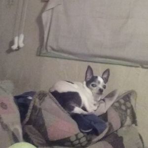 Meet your Posher, Cheryl